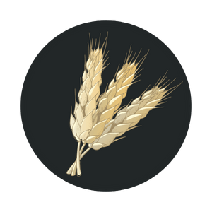 Prote&iacute;na de trigo hidrolizada